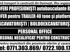 Personal pt. firma transport in constructii